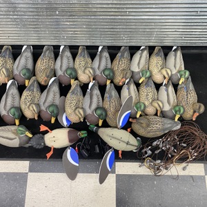  Decoys 25 Ducks W/ Chargers & Accessories 