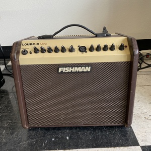 Fishman Loudbox Mini Amp / Guitar w/ Cover 