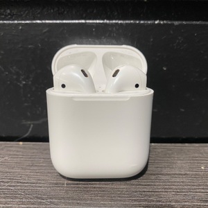 Apple A2031 Headphones Earbuds (Gen 2) In Case