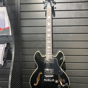 Firefly JSN FF338 Guitar Electric 6-String w/ Soft Case 