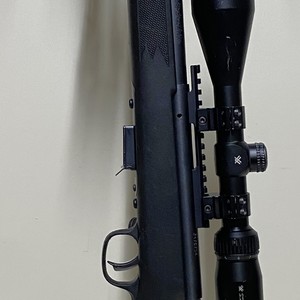 Savage 93 FV-SR - .22WMR - Bolt - Black Finish - Vortex Crossfire II 3-9x50