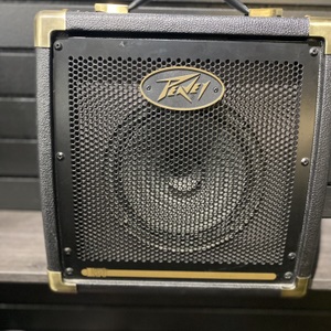Peavey Ecoustic20-120USAcoustic Amp / Guitar