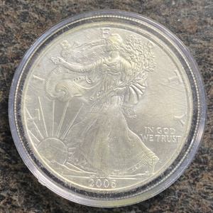  2006 - 1oz Walking Liberty - One Dollar Silver Round