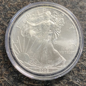  2009 - 1oz Walking Liberty - One Dollar Silver Round 