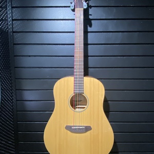 Breedlove Discovery Dread MP Guitar Acoustic 6-String w/ Soft Case 