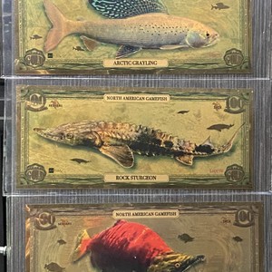 Aurum Novelty 5pc 1/10 Gram 24K - North American Gamefish Bills 