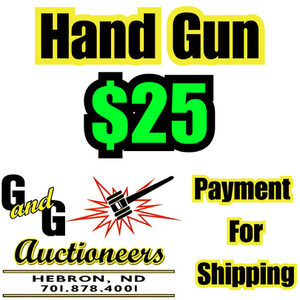 G & G Hand Gun Auction Shipping Charge 