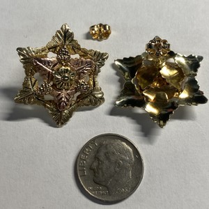  BHG 10kt 5.04g Earrings 6 Pointed Star w/ Many Leaves