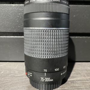 Canon 1:4 - 5.6 Camera Lens 75-300mm