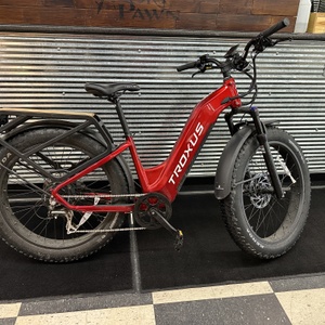 Troxus Explorer Plus Electric Bike w/ Charger & Key